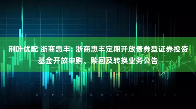 荆叶优配 浙商惠丰: 浙商惠丰定期开放债券型证券投资基金开放申购、赎回及转换业务公告