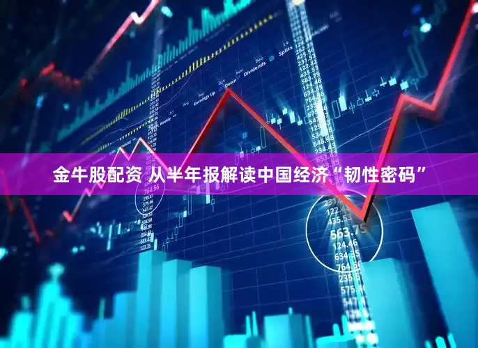 金牛股配资 从半年报解读中国经济“韧性密码”